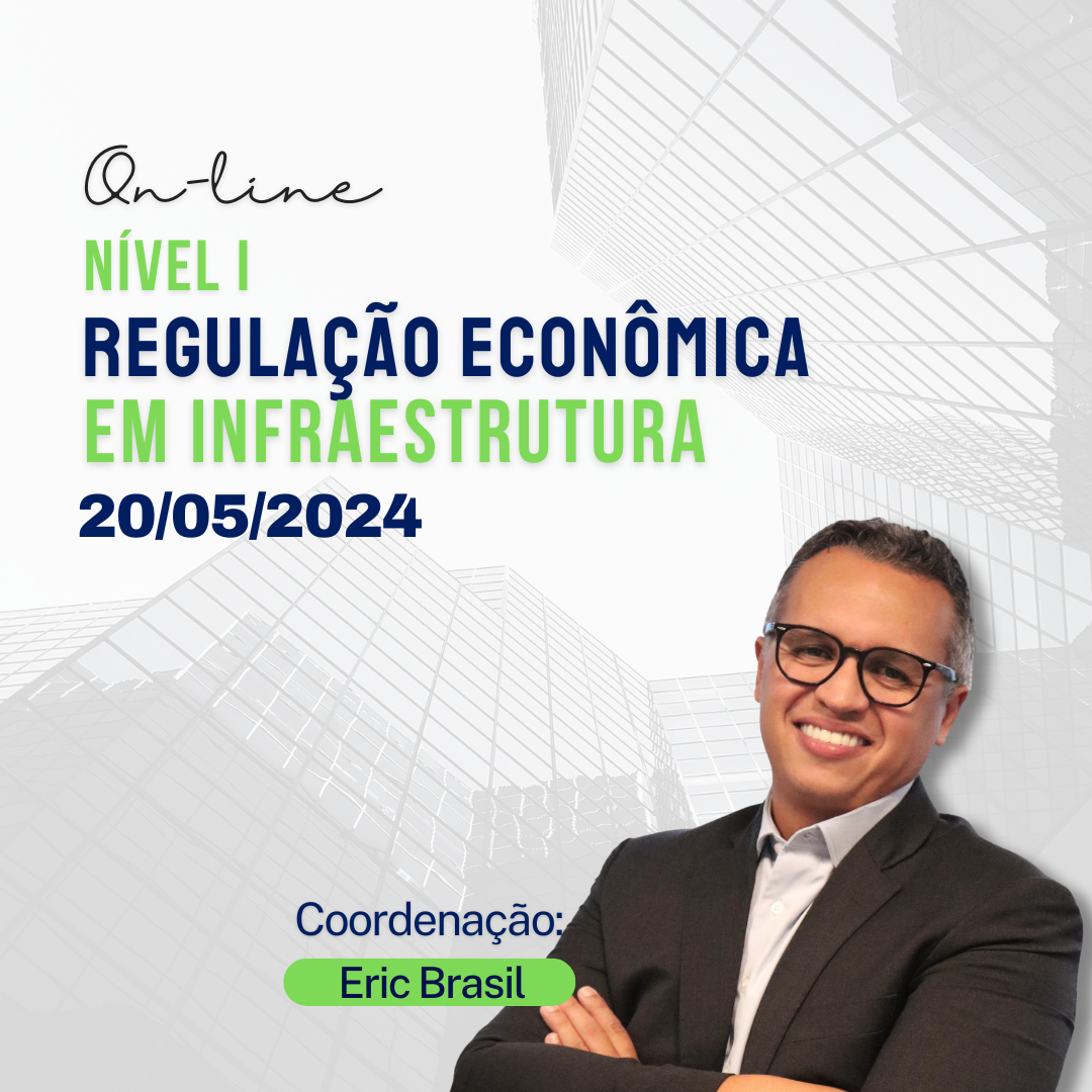 Regulação Econômica em Infraestrutura – Nivel I