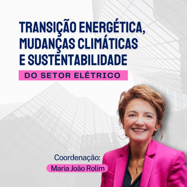 Transição Energética, Mudanças Climáticas e Sustentabilidade do Setor Elétrico