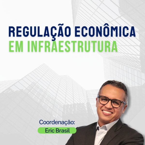Regulação Econômica em Infraestrutura